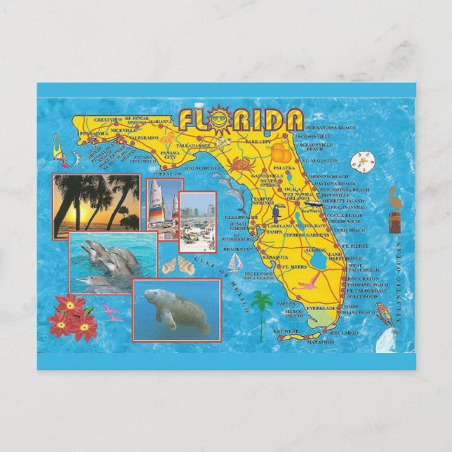 Florida State Map Postcard (Front)