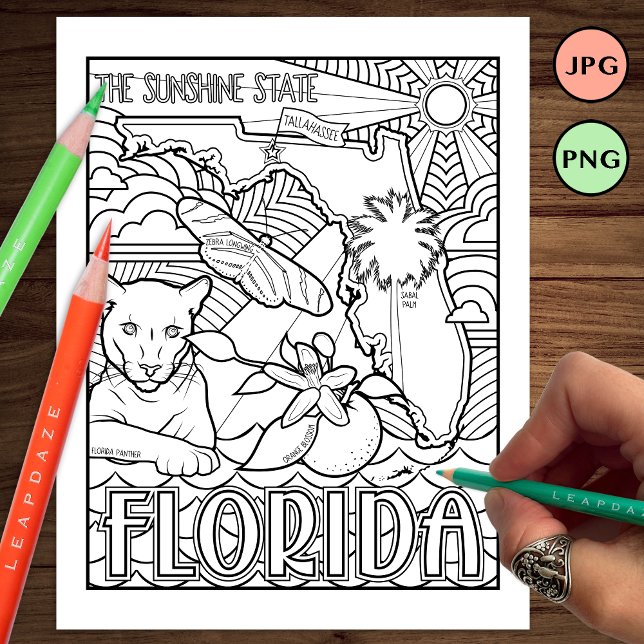 florida state shape and facts colouring page (Creator Uploaded)
