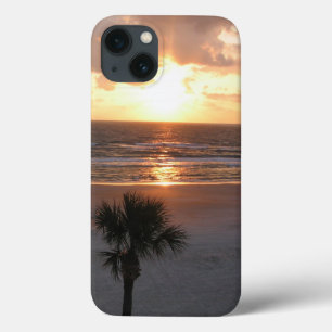 Florida sunrise iPad Air Case
