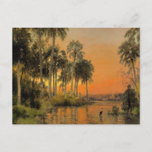 Florida Sunset by Hermann Herzog Postcard