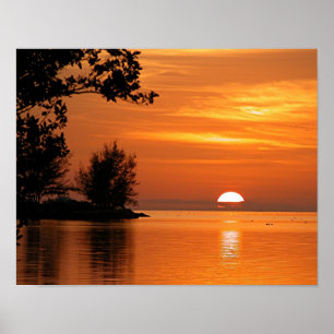 Florida sunset lake trees Poster
