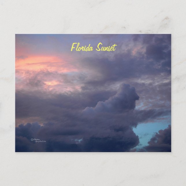 Florida sunset Postcard (Front)