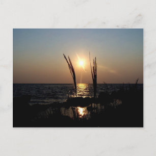 Florida Sunset Postcard