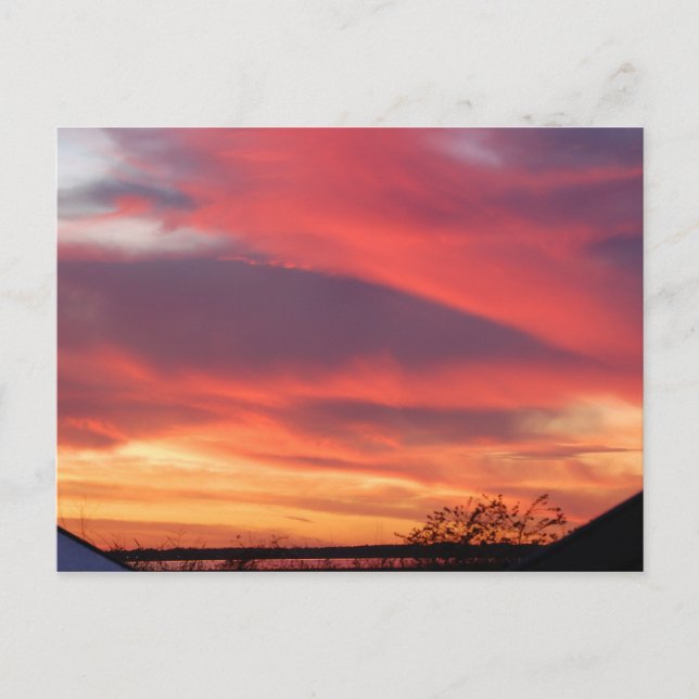 Florida Sunset Postcard (Front)