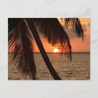 Florida Sunset Postcard