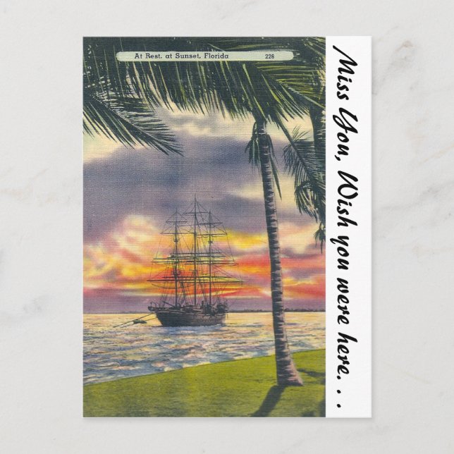 Florida Sunset Postcard (Front)