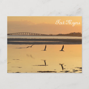 Florida Sunset Reflection Postcard