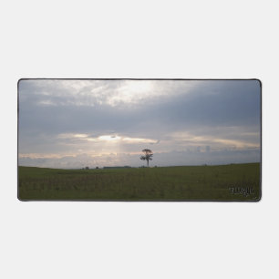 Florida Sunshine on lone pine Nature Photography Desk Mat