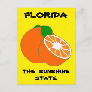 Florida Sunshine State.jpg Postcard