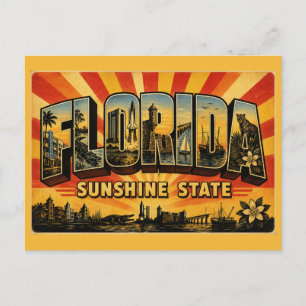 Florida Sunshine State Vintage Travel Art Postcard