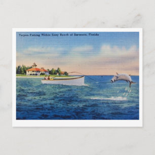 Florida Tarpon Fishing Postcard