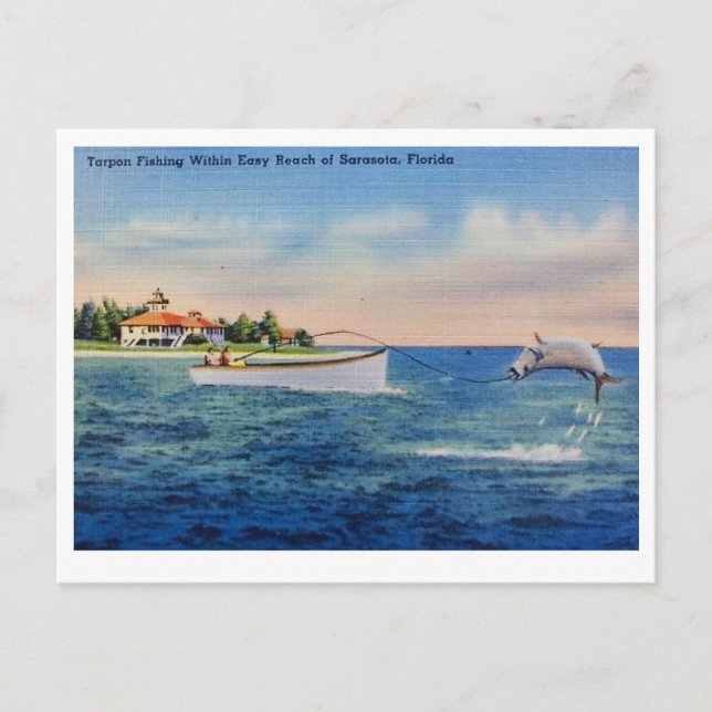 Florida Tarpon Fishing Postcard (Front)