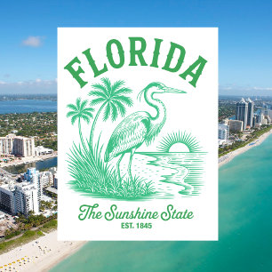 Florida The Sunshine State Est. 1845 Vintage Postcard
