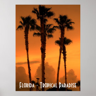 Florida Tropical Paradise Sunset Poster Photograph