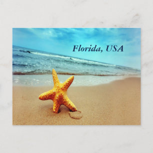 Florida USA Postcard