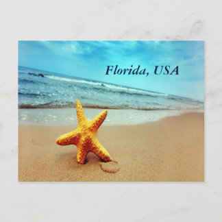 Florida USA Postcard