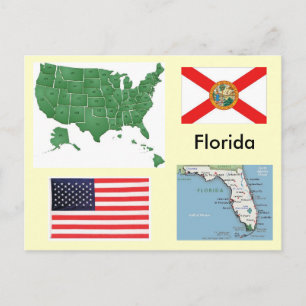 Florida, USA Postcard