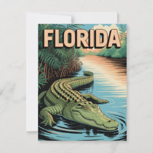 Florida vintage  postcard