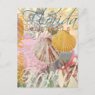 Florida Vintage Travel Beach Seashell Shell Art Postcard