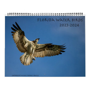 Florida Water Birds Calendar 2023-2024