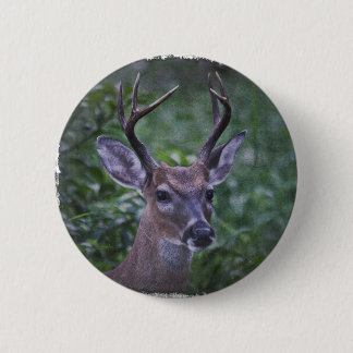 Florida Whitetailed Buck 6 Cm Round Badge
