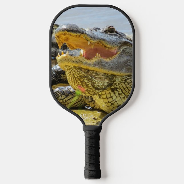 Florida wildlife American Alligator portrait Pickleball Paddle (Front)