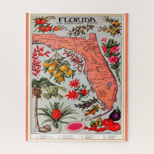 Florida's Bounty 16x20 Jigsaw Puzzle
