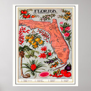 Florida's Bounty Map Poster