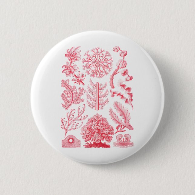 Florideae 6 Cm Round Badge (Front)