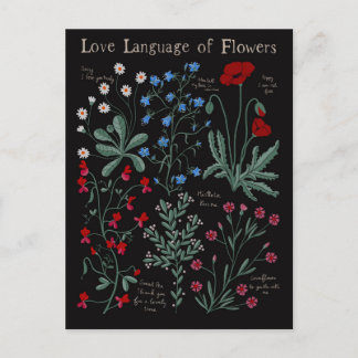 Floriograpy Love language of flowers botanical Holiday Postcard