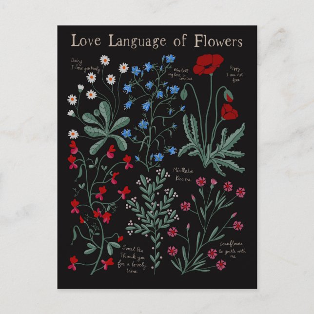 Floriograpy Love language of flowers botanical Holiday Postcard (Front)