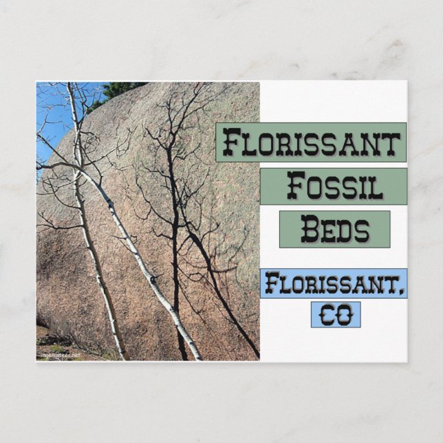 Florissant Fossil Beds Postcard (Front)