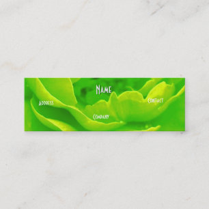 Florist - Green Blue Rose Mini Business Card