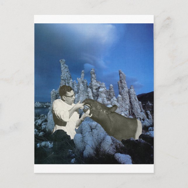 Floss every day - invitation postcard (Front)