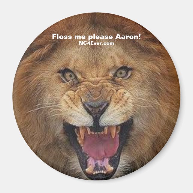 Floss me please Aaron! magnet (Front)