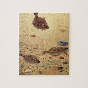Flounders or Flat Fish, Vintage Marine Ocean Life  Jigsaw Puzzle