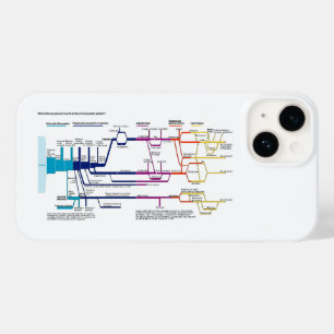 Flow Chart USA American Criminal Justice System Case-Mate iPhone 14 Case