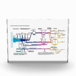 Flow Chart USA American Criminal Justice System Photo Block