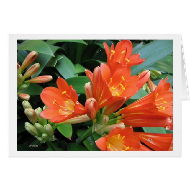 Flower3 (Front Horizontal)