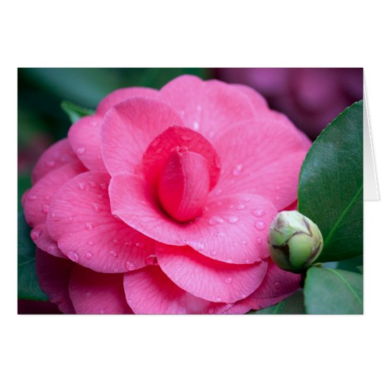 Flower #1657 card