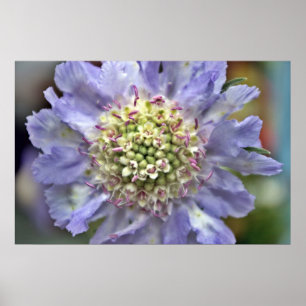 Flower #3 poster