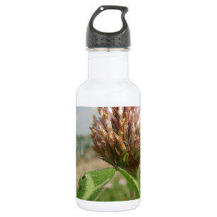 flower 532 ml water bottle