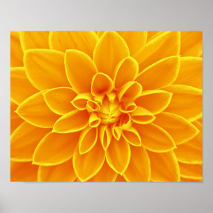 flower-663650 BRIGHT SUMMER ORANGE YELLOW FLOWERS Poster