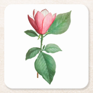 Flower: A001 Lily Magnolia - Square Paper Coaster