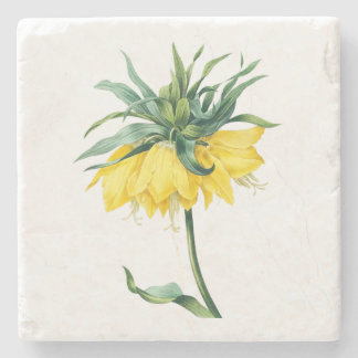 Flower: A002 Kaiser's Crown - Stone Coaster