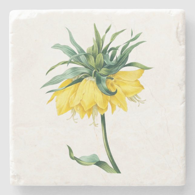 Flower: A002 Kaiser's Crown - Stone Coaster (Front)