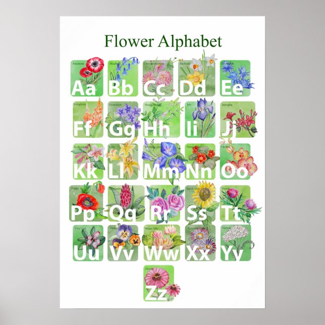 Flower Alphabet Poster (Front)