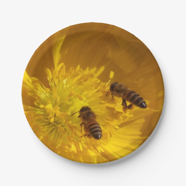 Flower and bees paper plates (Front)