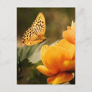 flower and butterfly peace and joy postcard
