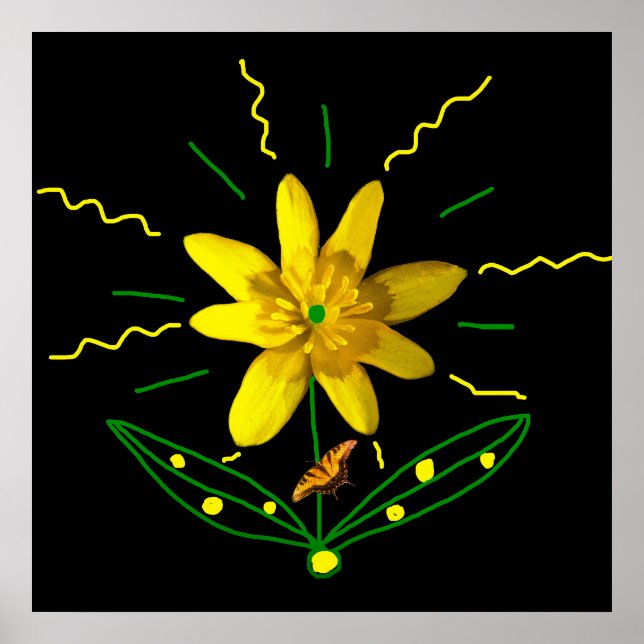 Flower and Butterfly Poster (Front)